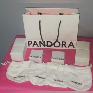 Pandora Bag, boxes And pouches